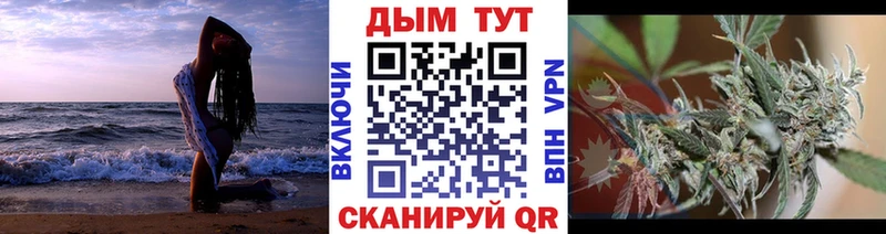 Бошки марихуана THC 21%  Сокол 